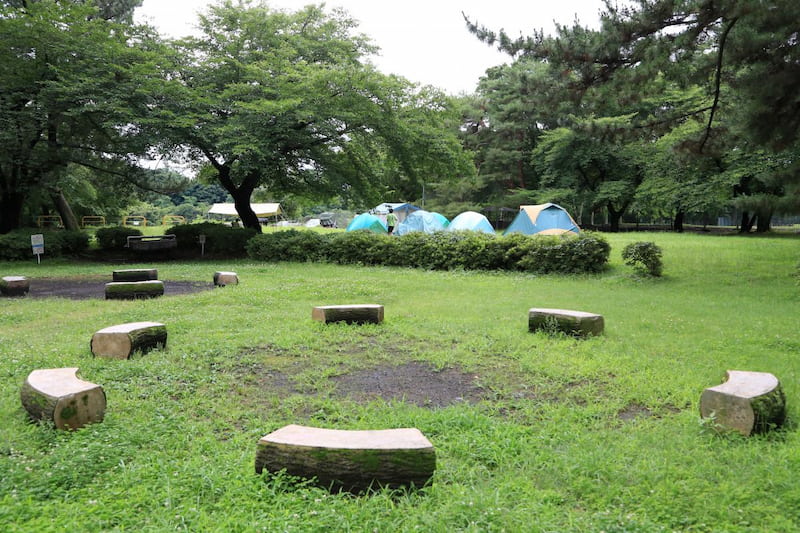 利根川敷島緑地キャンプ場
