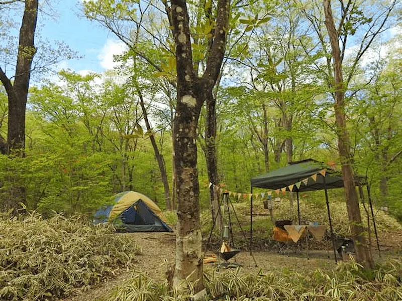 県民の森キャンプ場